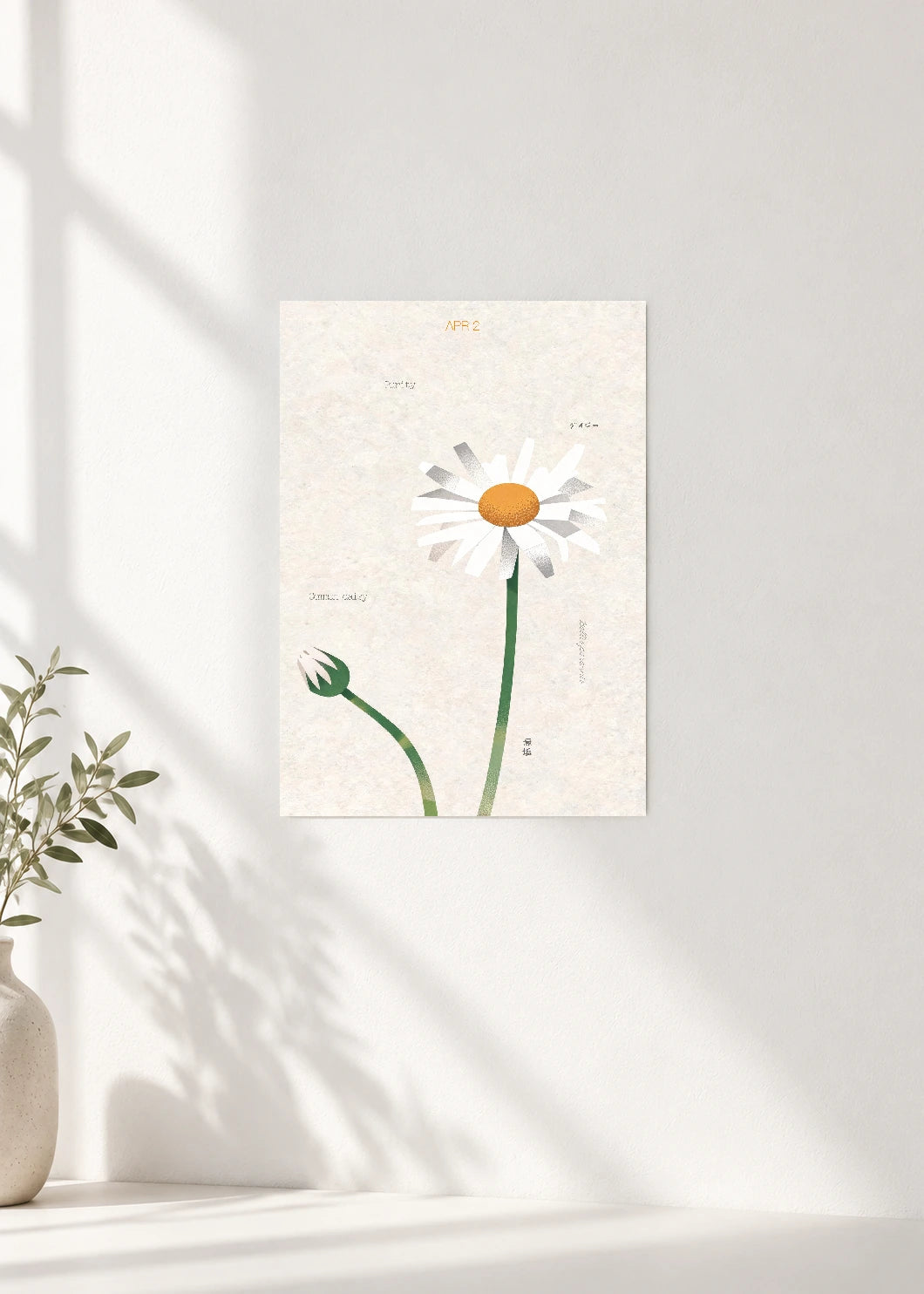 April 2 Birth Flower Poster — Common Daisy — clean wall