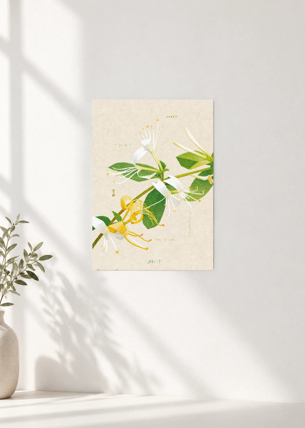 January 17 Birth Flower Poster — Japanese Honeysuckle — clean wall
