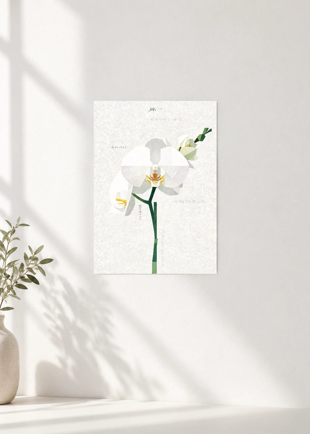 January 11 Birth Flower Poster — Moth Orchid (White) — clean wall