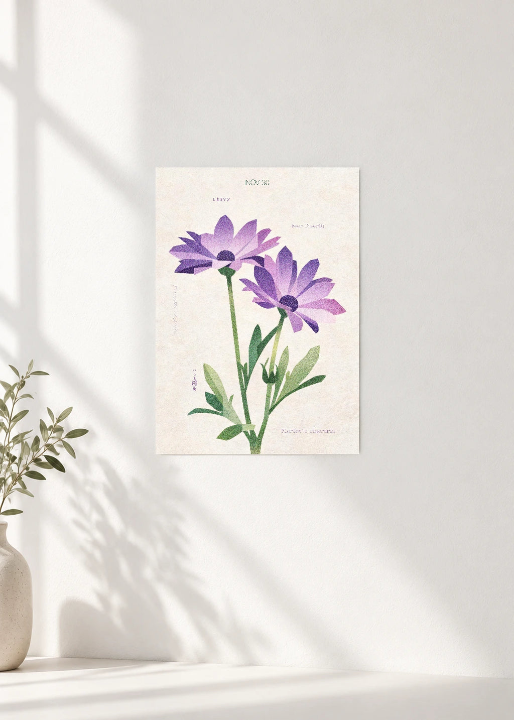 November 30 Birth Flower Poster — Florist's Cineraria — clean wall