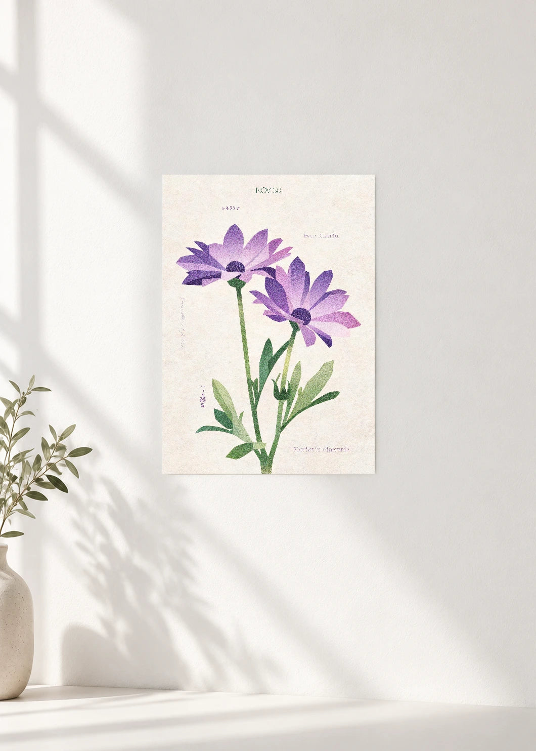November 30 Birth Flower Poster — Florist's Cineraria — clean wall