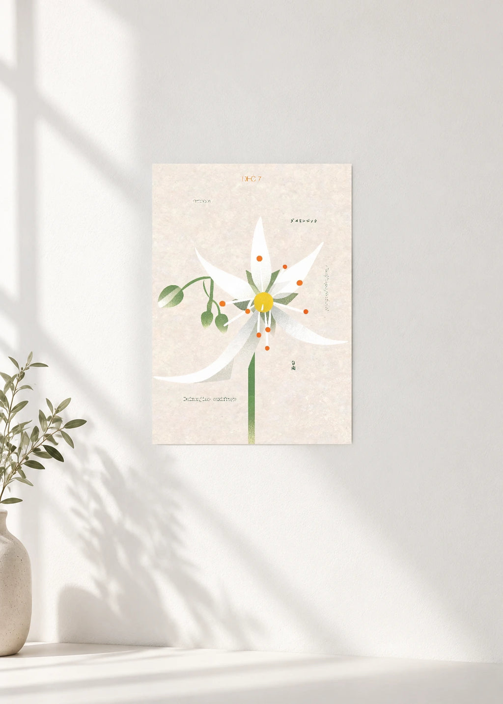 December 7 Birth Flower Poster — Daimonjiso Saxifrage — clean wall