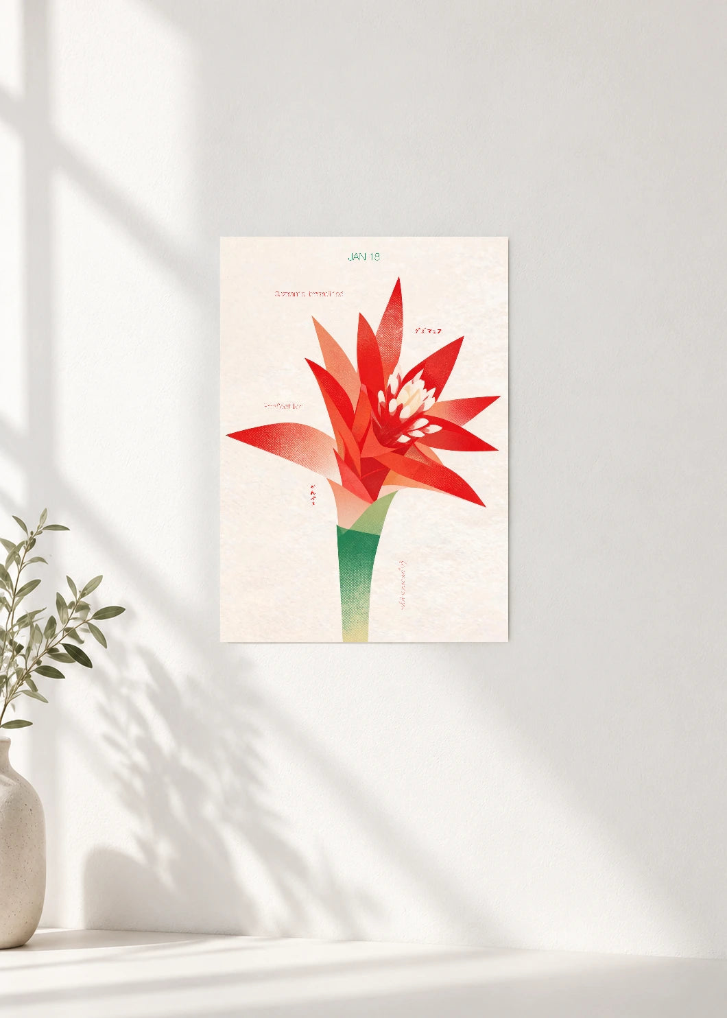 January 18 Birth Flower Poster — Guzmania Bromeliad — clean wall
