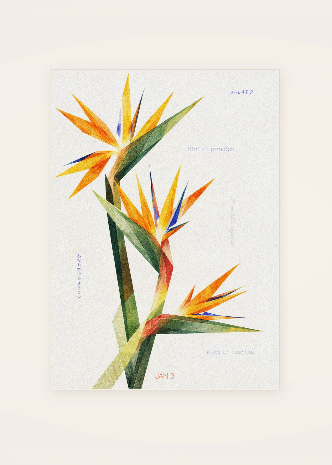 January 3 Bird of Paradise birth flower card — clean