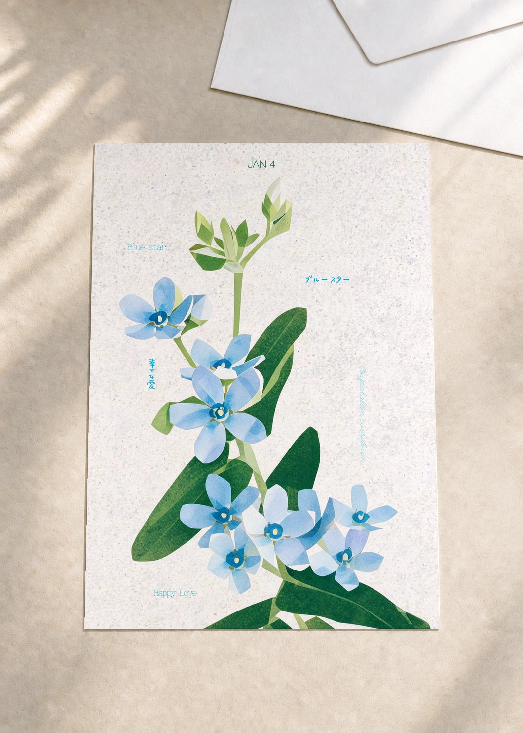 January 4 Blue Star birth flower card — envelope