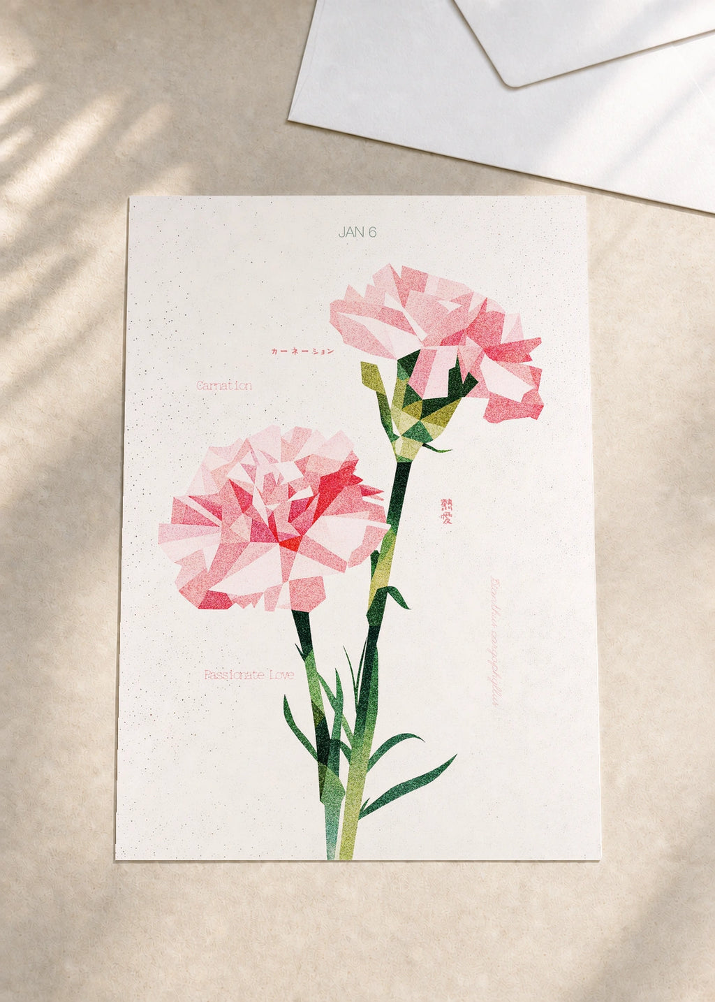 January 6 Carnation (Pink) birth flower card — envelope