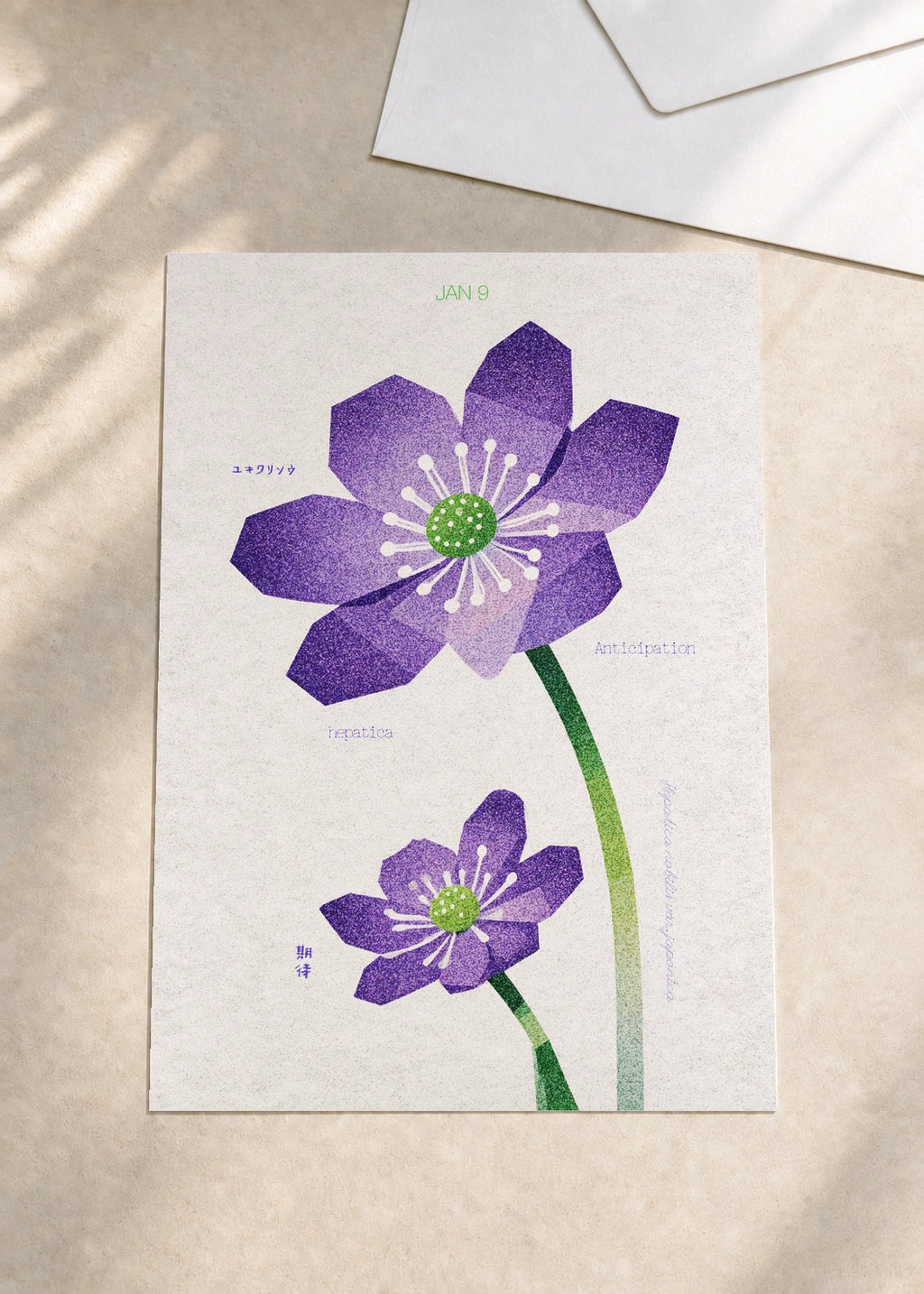 January 9 Japanese Hepatica birth flower card — envelope