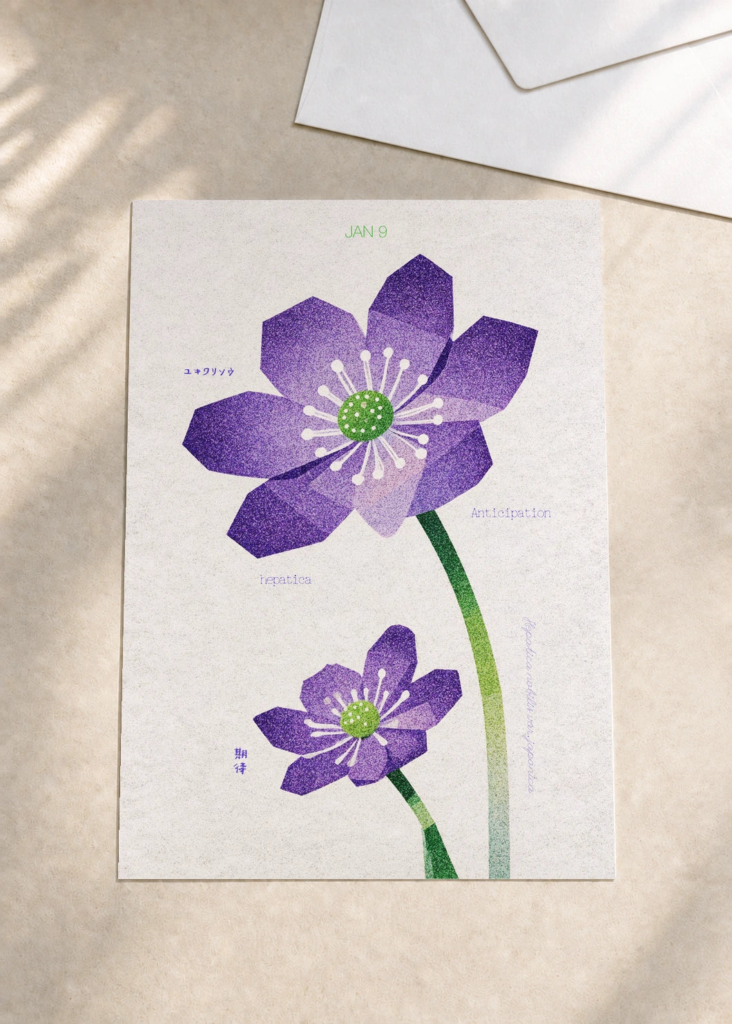 January 9 Japanese Hepatica birth flower card — envelope
