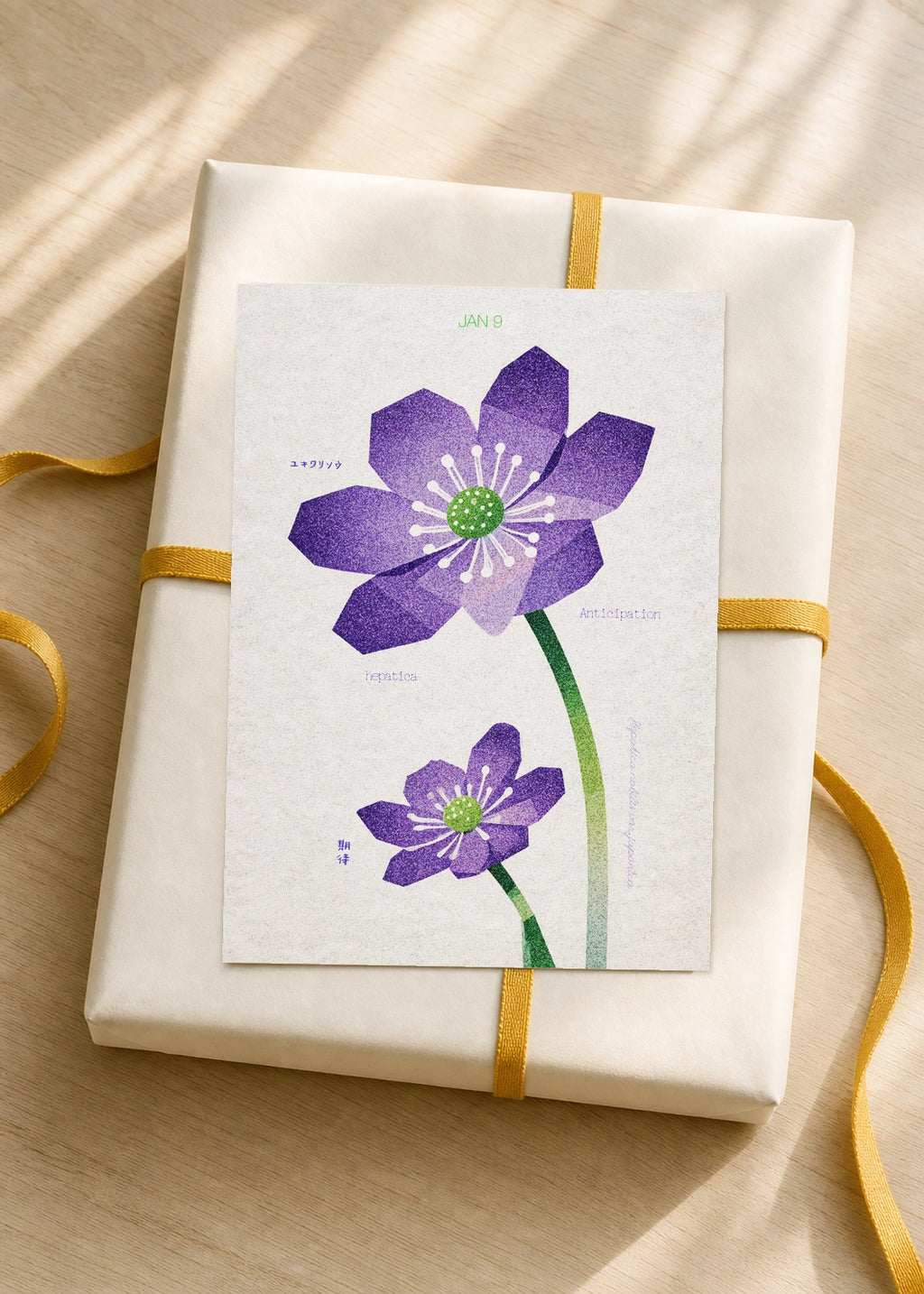 January 9 Japanese Hepatica birth flower card — gift