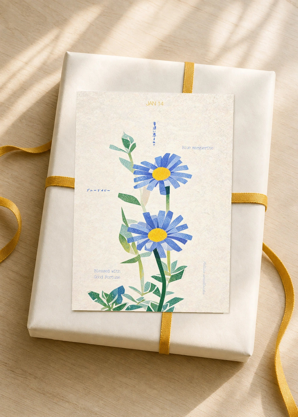 January 14 Blue Marguerite birth flower card — gift