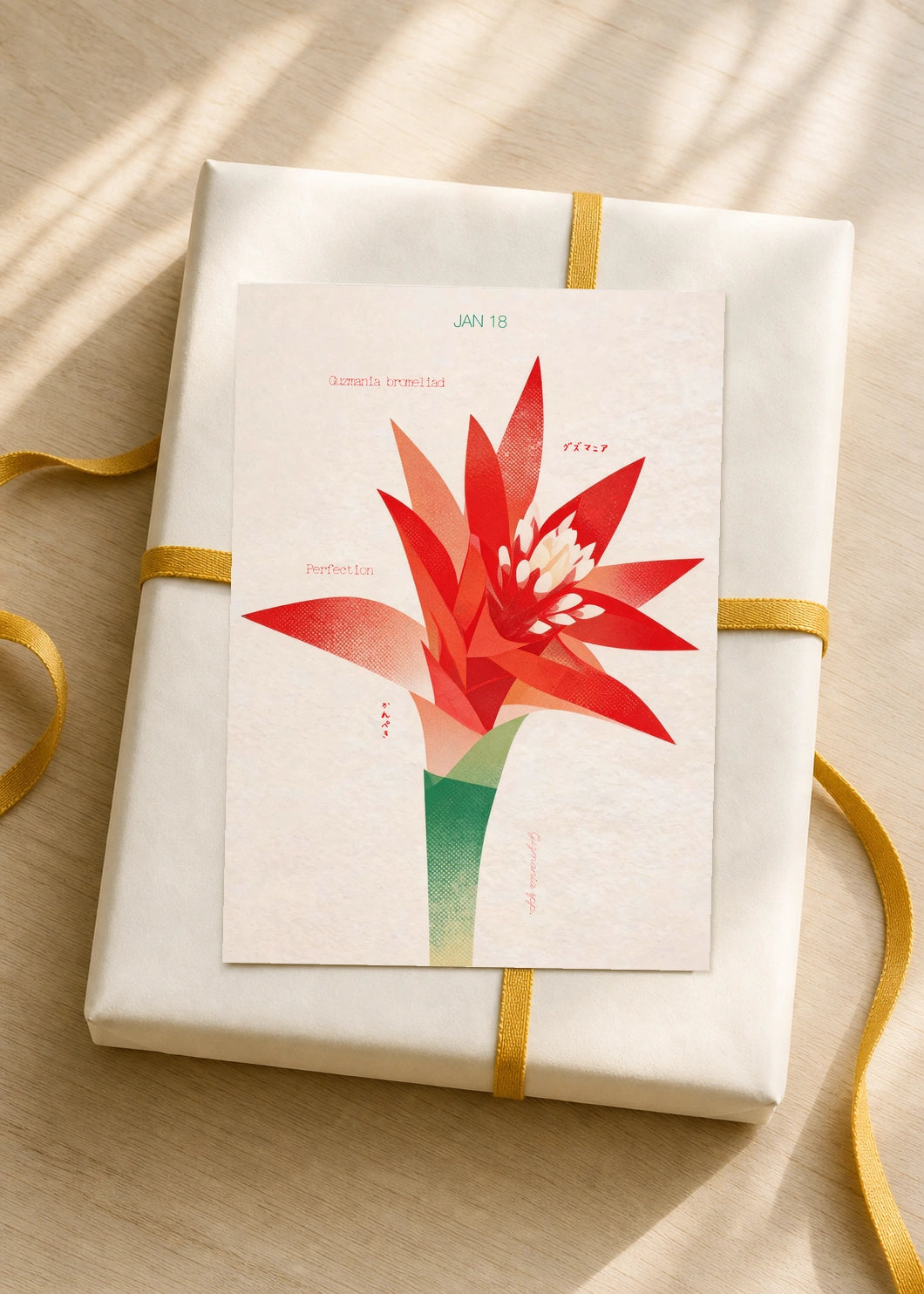January 18 Guzmania Bromeliad birth flower card — gift