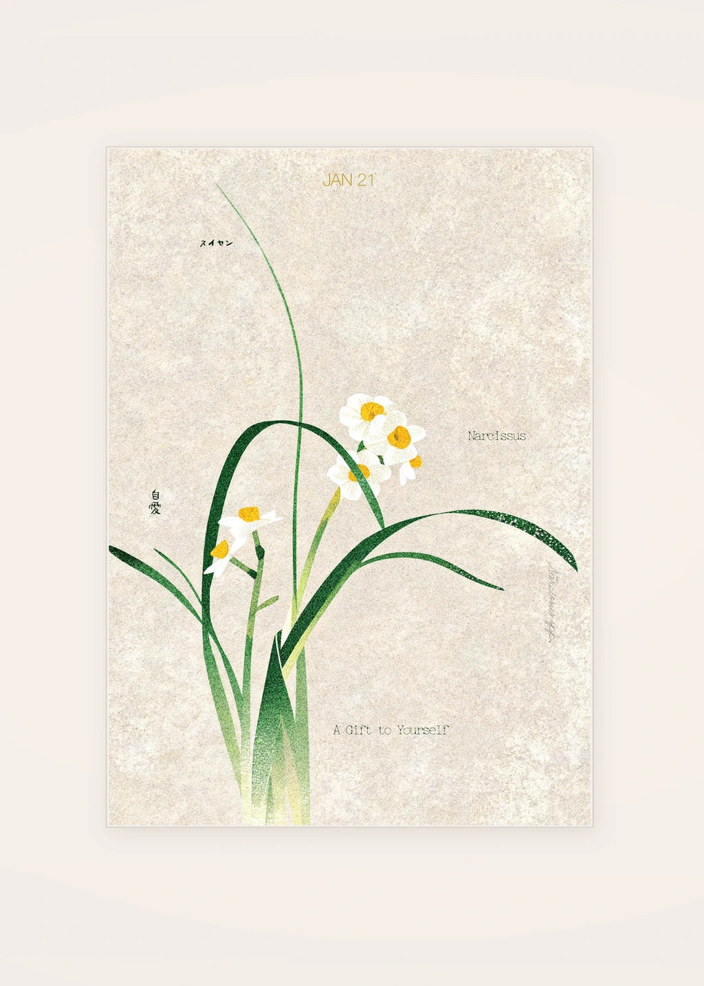 January 21 Narcissus birth flower card — clean