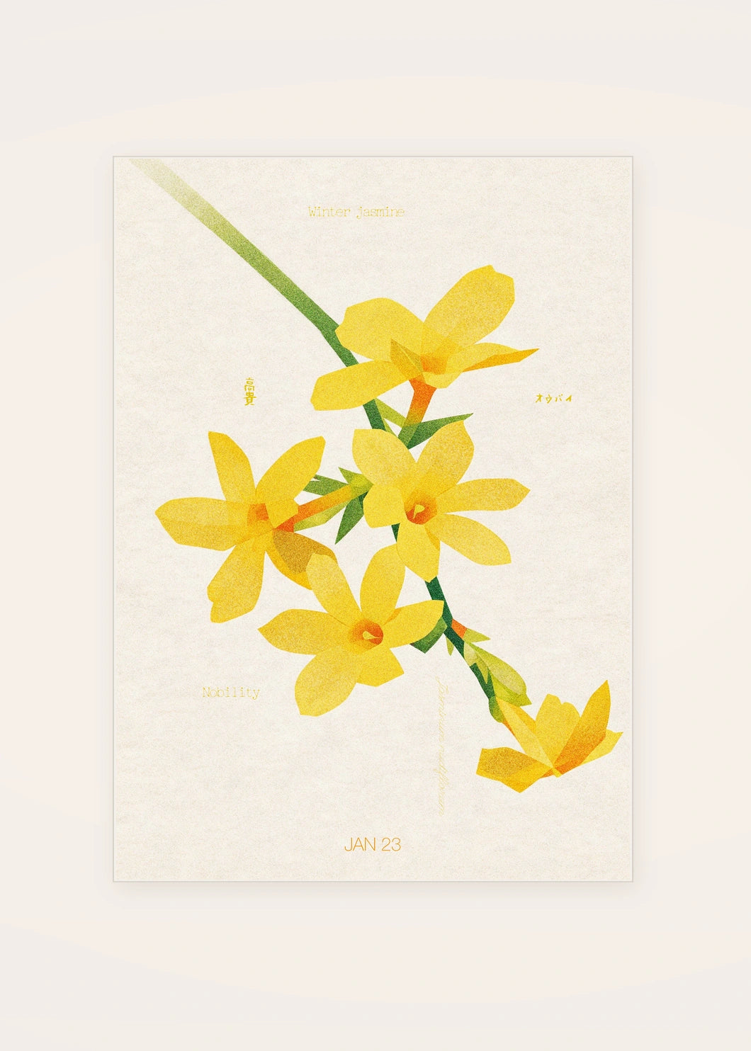 January 23 Winter Jasmine birth flower card — clean