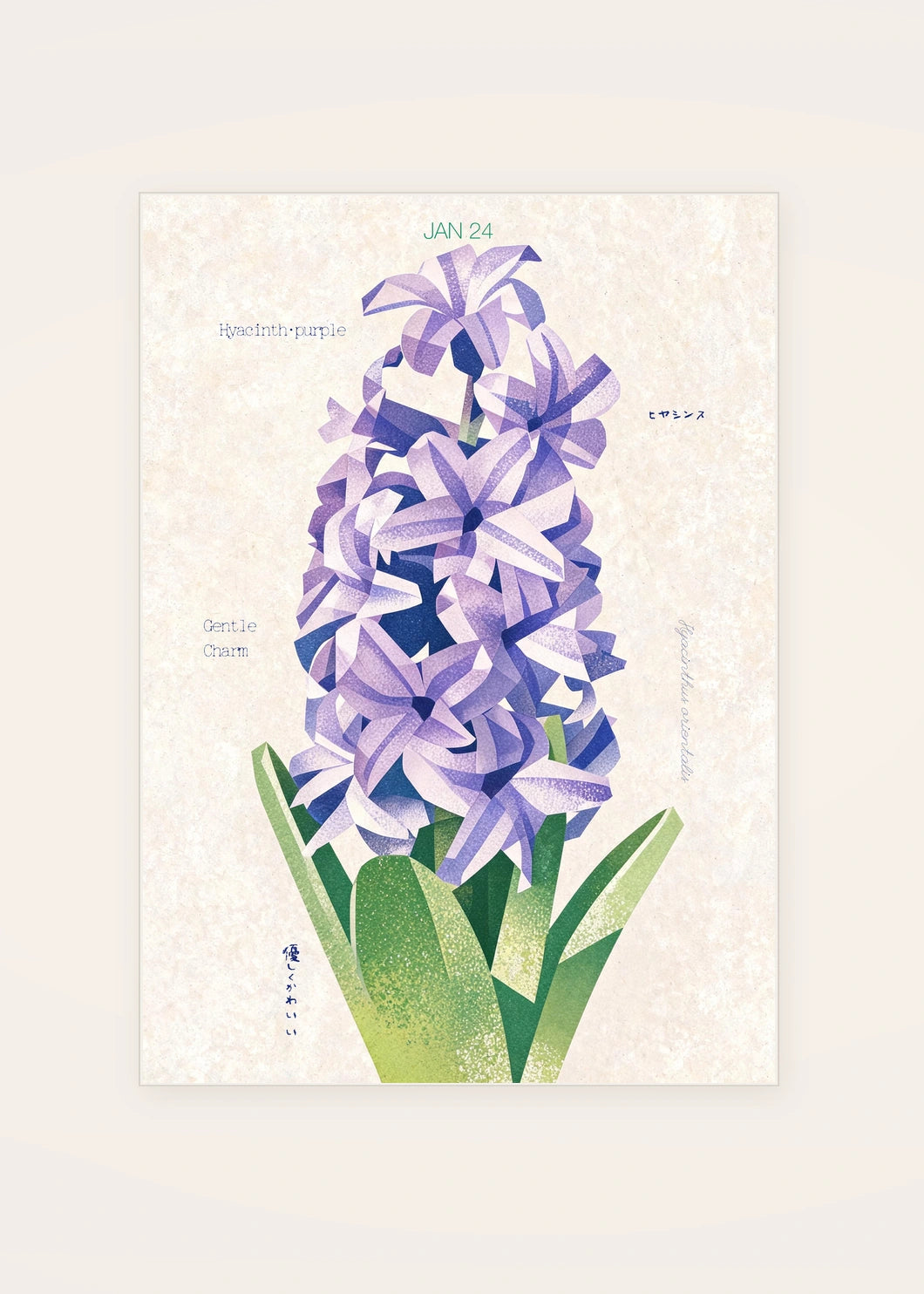 January 24 Hyacinth (Purple) birth flower card — clean