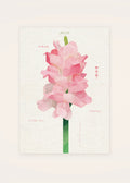 January 28 Snapdragon birth flower card — clean