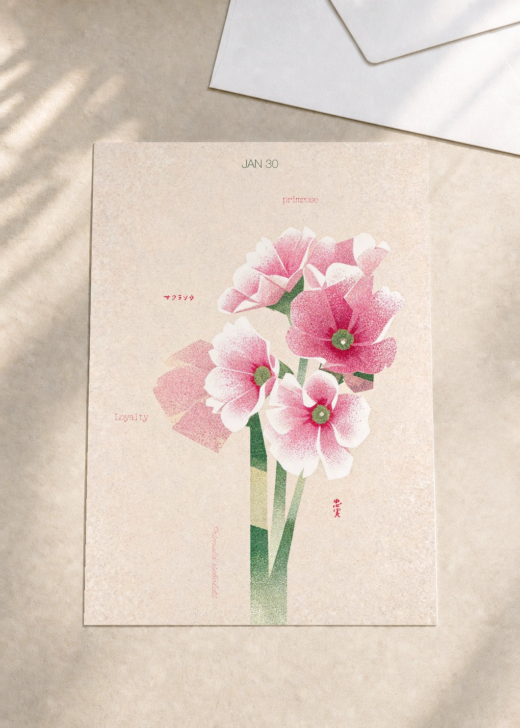 January 30 Japanese Primrose birth flower card — envelope
