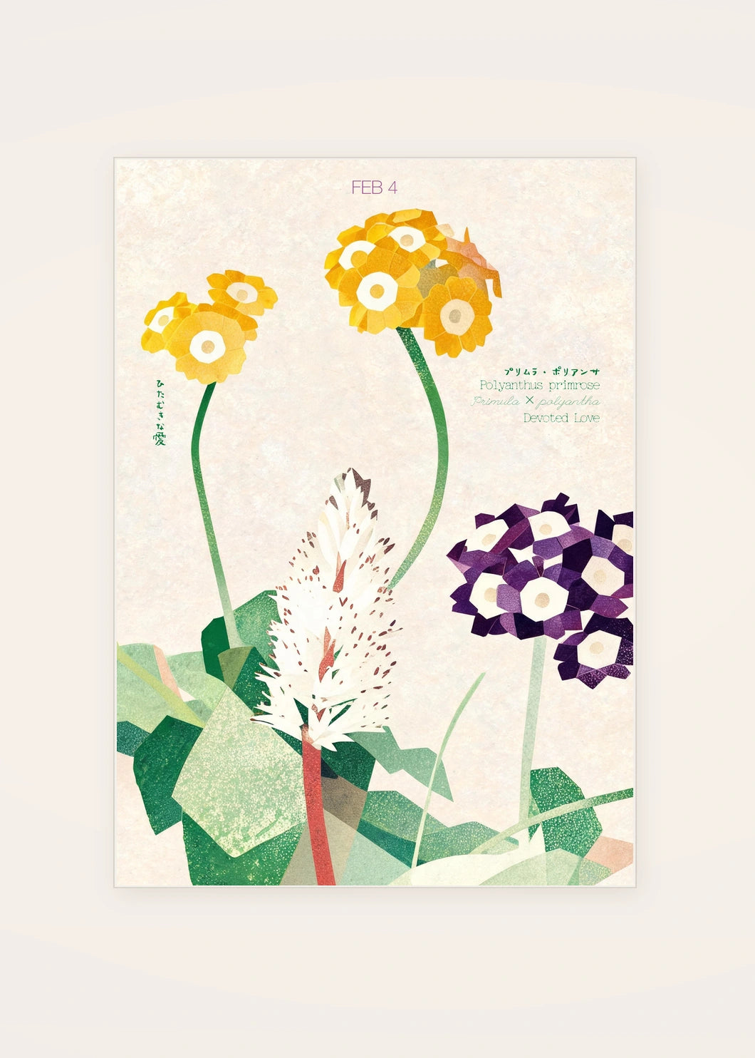 February 4 Polyanthus Primrose birth flower card — clean