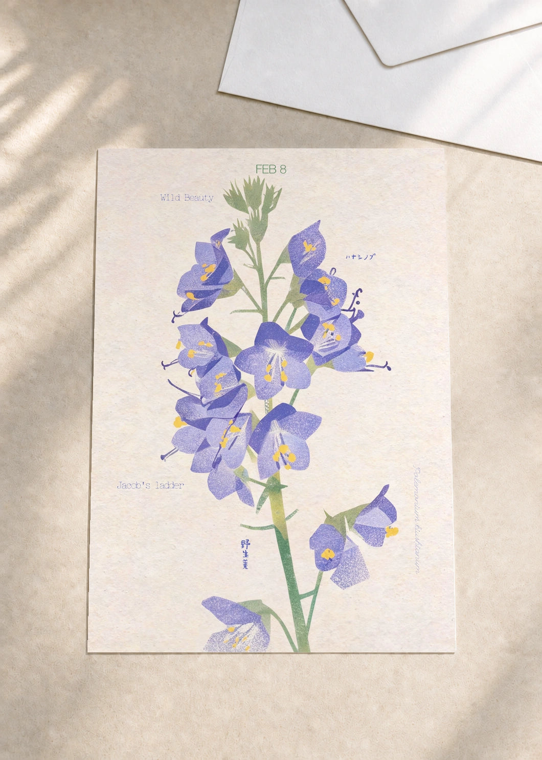 February 8 Japanese Jacob's Ladder birth flower card — envelope