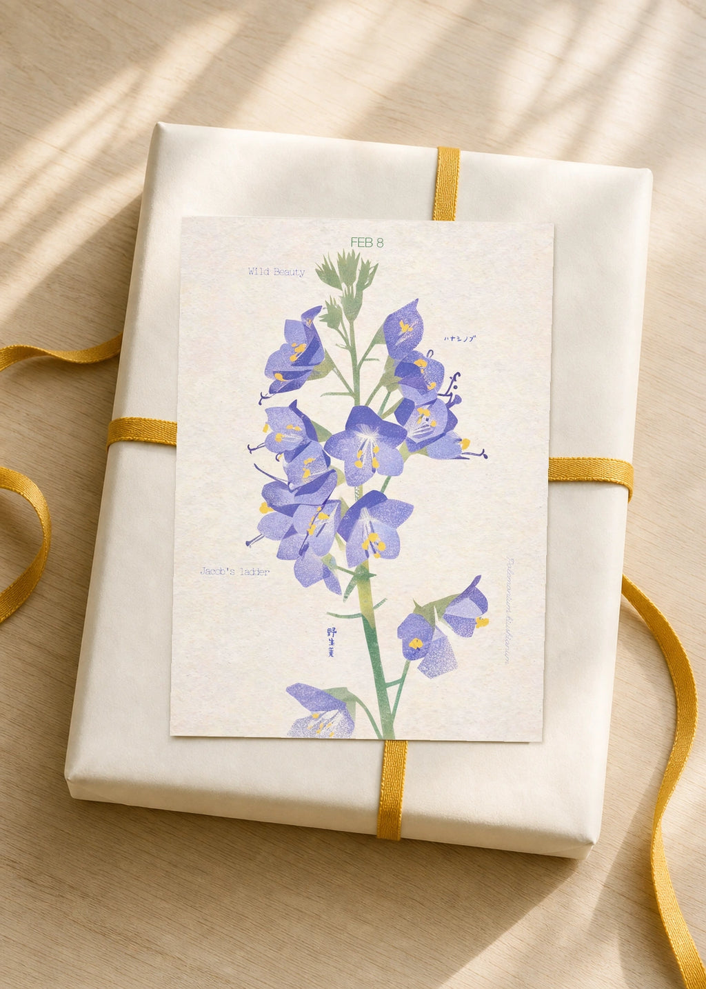 February 8 Japanese Jacob's Ladder birth flower card — gift