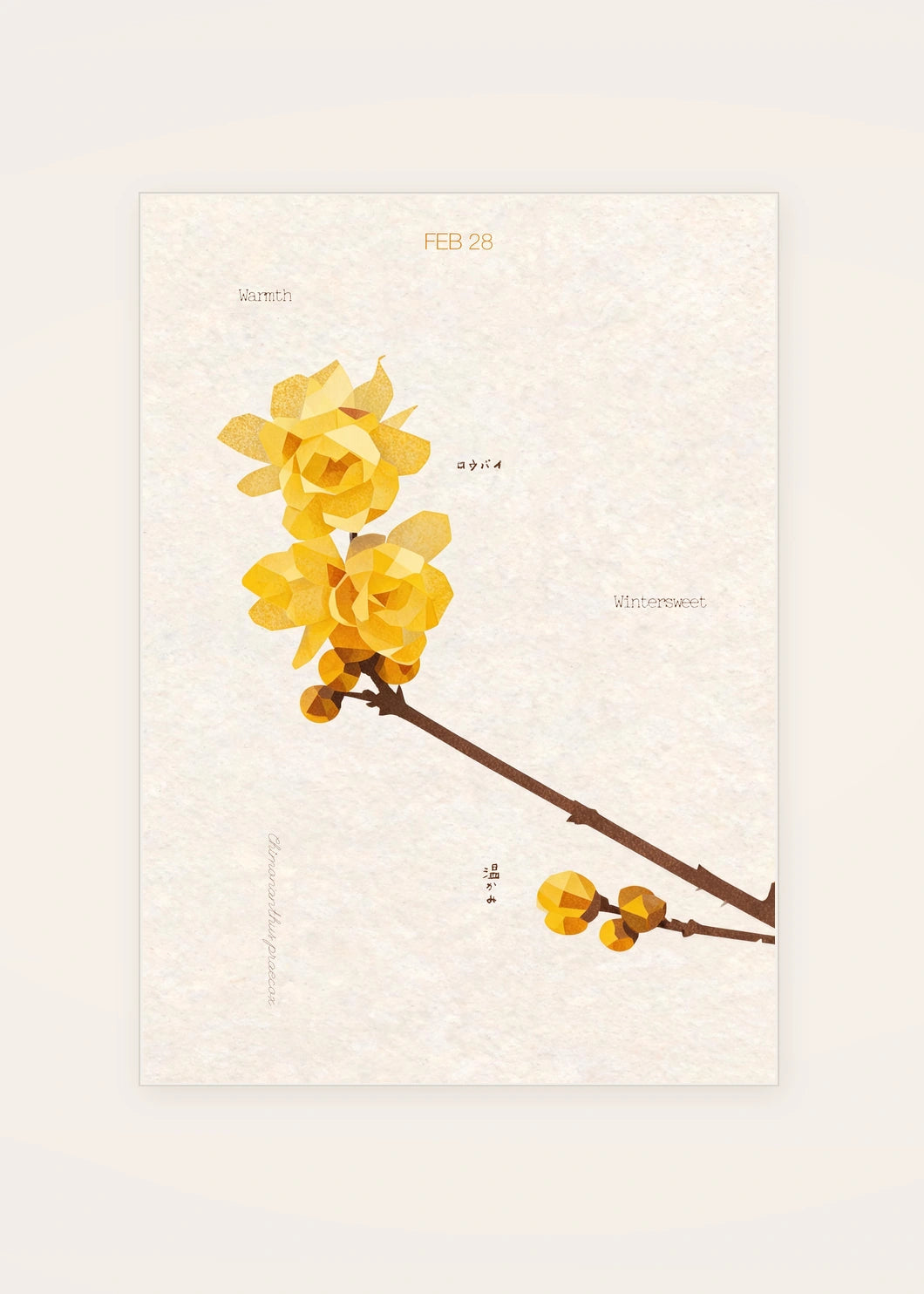 February 28 Wintersweet birth flower card — clean
