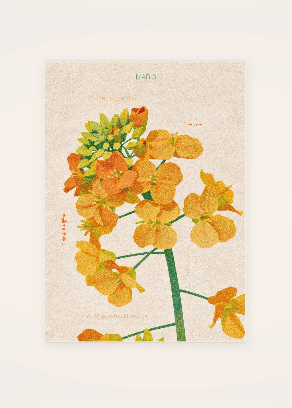 March 3 Rapeseed Flower birth flower card — clean