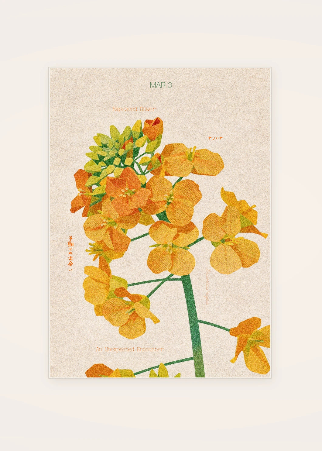 March 3 Rapeseed Flower birth flower card — clean