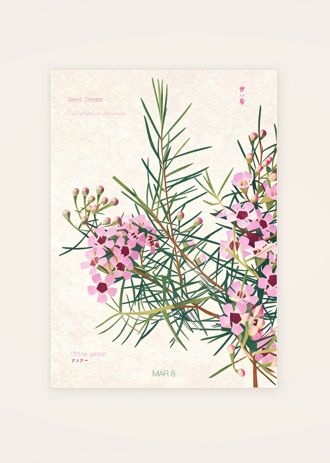 March 8 Geraldton Wax birth flower card — clean