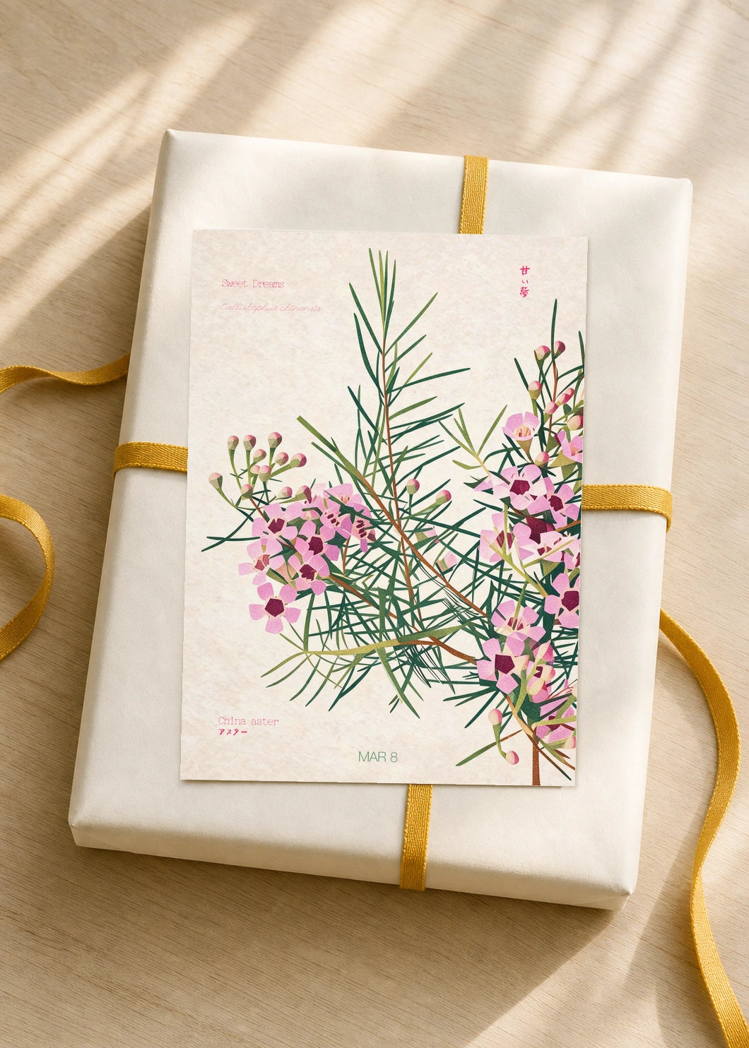 March 8 Geraldton Wax birth flower card — gift