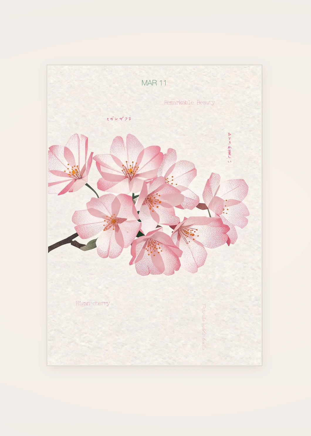 March 11 Higan Cherry birth flower card — clean