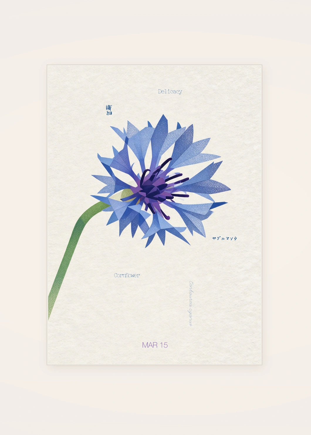 March 15 Cornflower birth flower card — clean