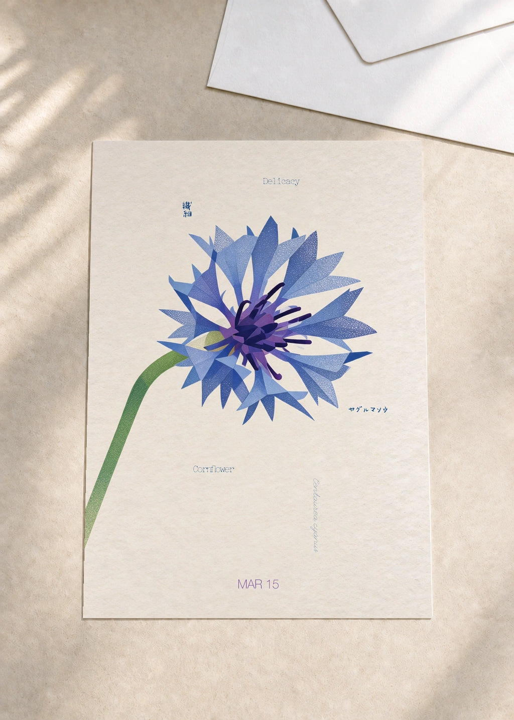 March 15 Cornflower birth flower card — envelope