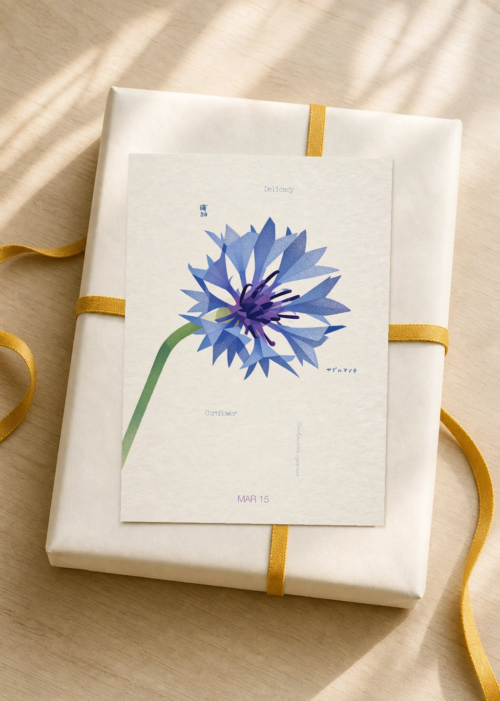 March 15 Cornflower birth flower card — gift