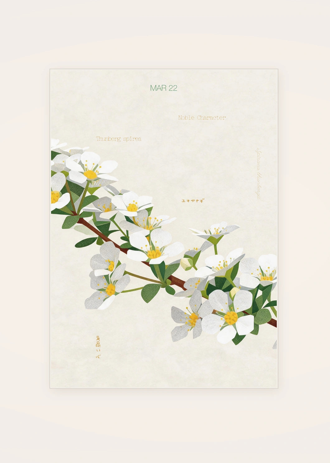 March 22 Thunberg Spirea birth flower card — clean
