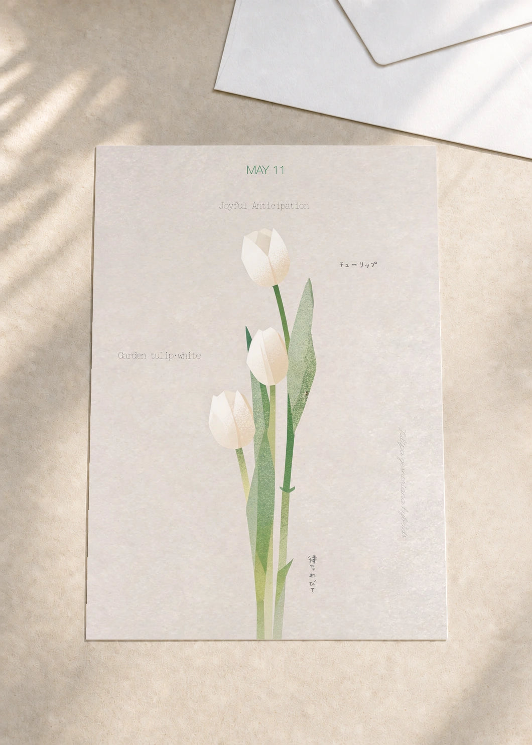 May 11 Garden Tulip (White) birth flower card — envelope