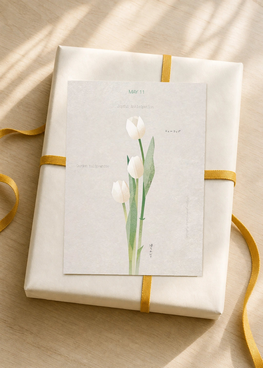 May 11 Garden Tulip (White) birth flower card — gift