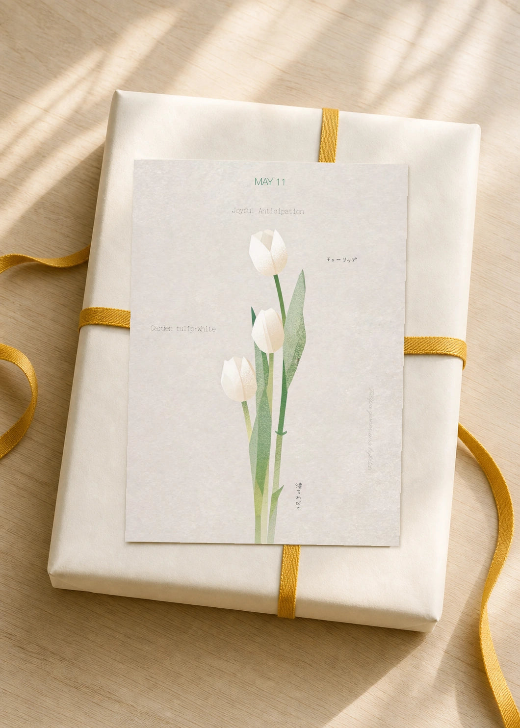 May 11 Garden Tulip (White) birth flower card — gift