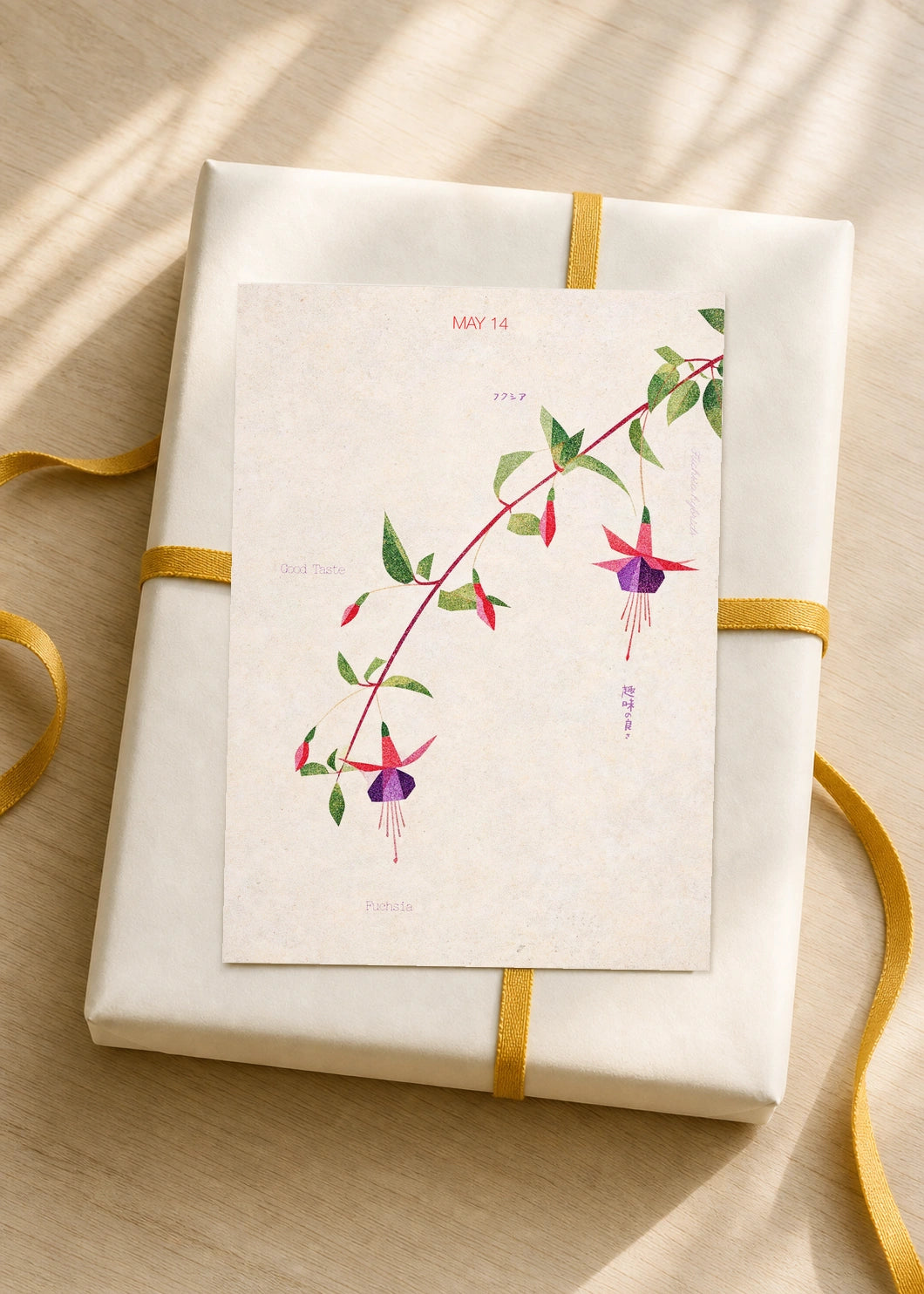 May 14 Fuchsia birth flower card — gift