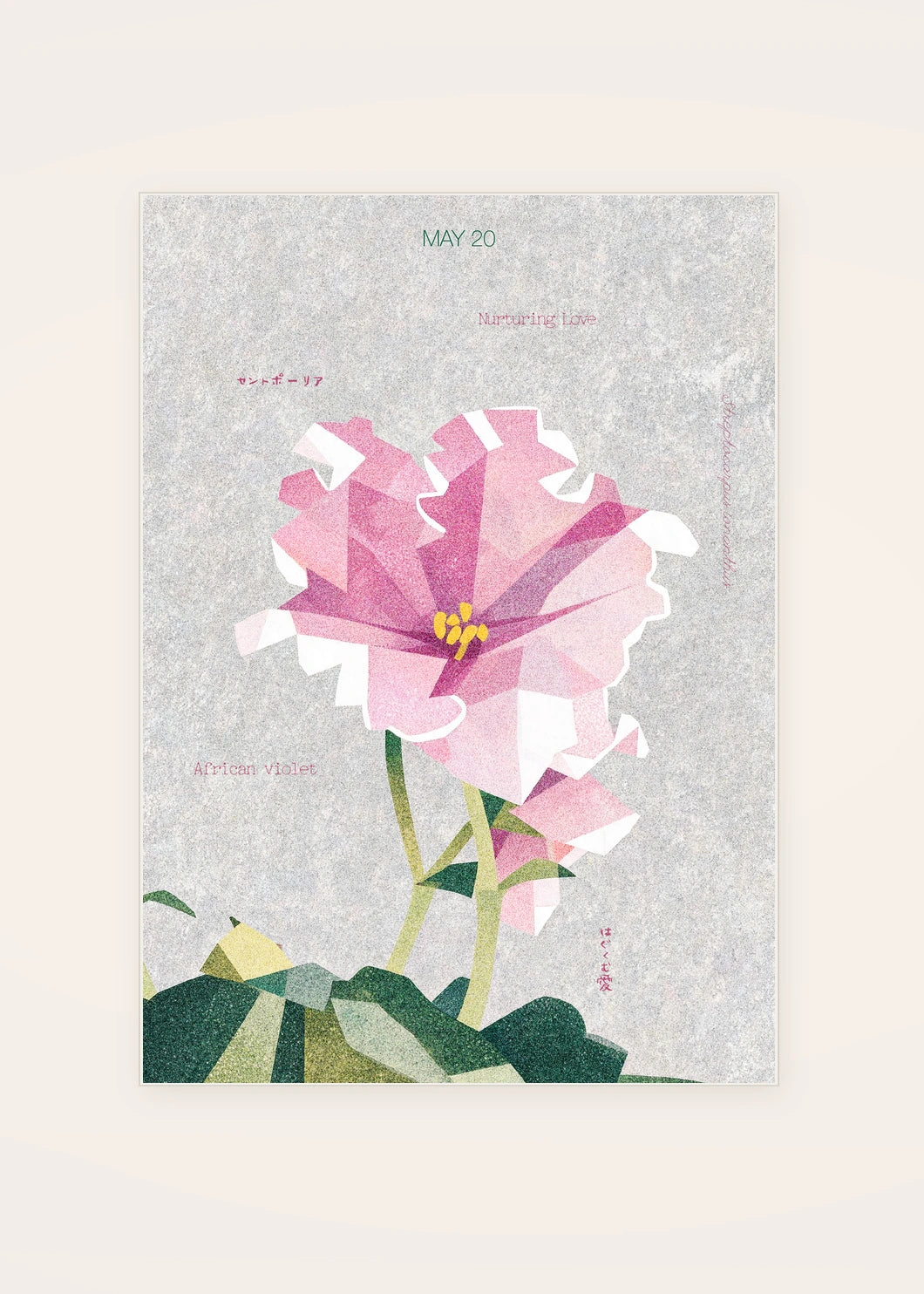 May 20 African Violet birth flower card — clean