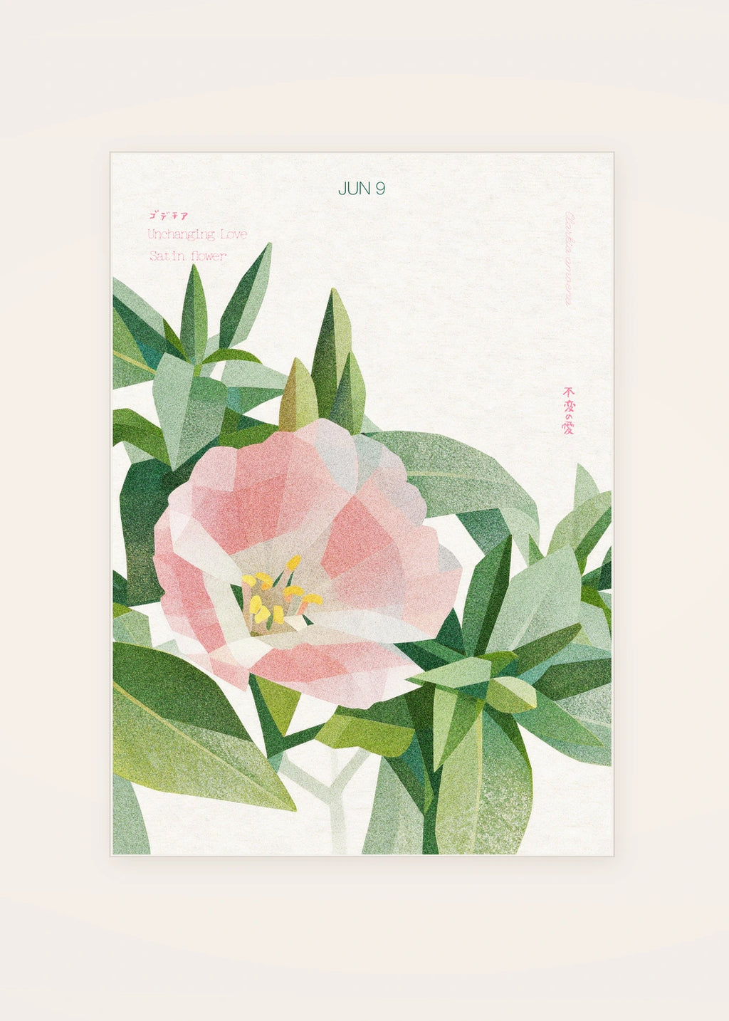 June 9 Satin Flower birth flower card — clean