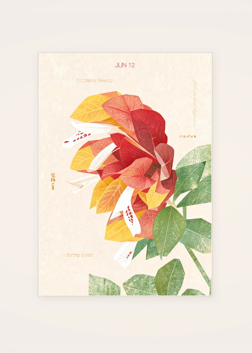 June 12 Shrimp Plant birth flower card — clean