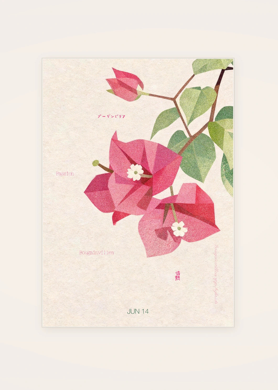 June 14 Bougainvillea birth flower card — clean