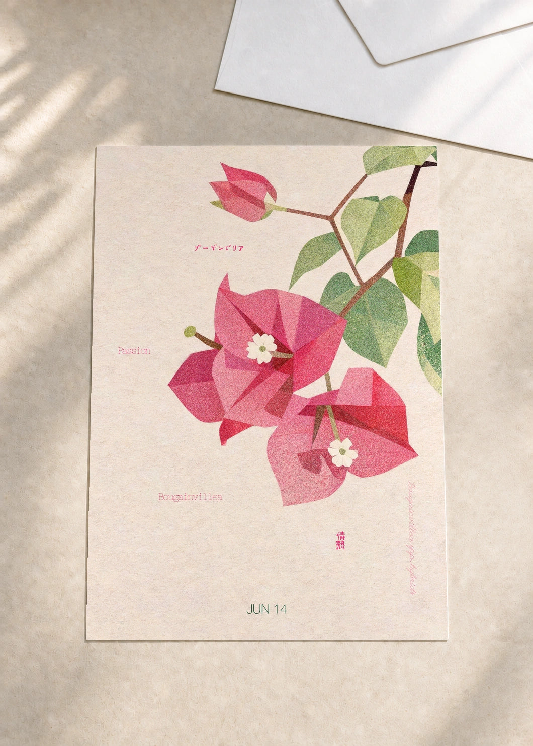 June 14 Bougainvillea birth flower card — envelope