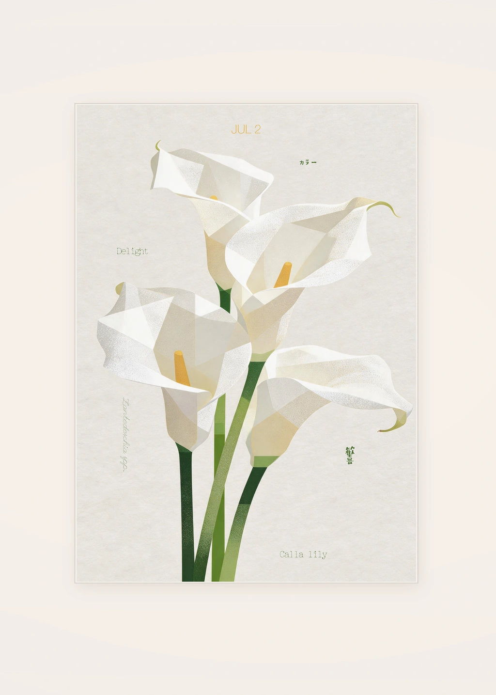 July 2 Calla Lily (White) birth flower card — clean