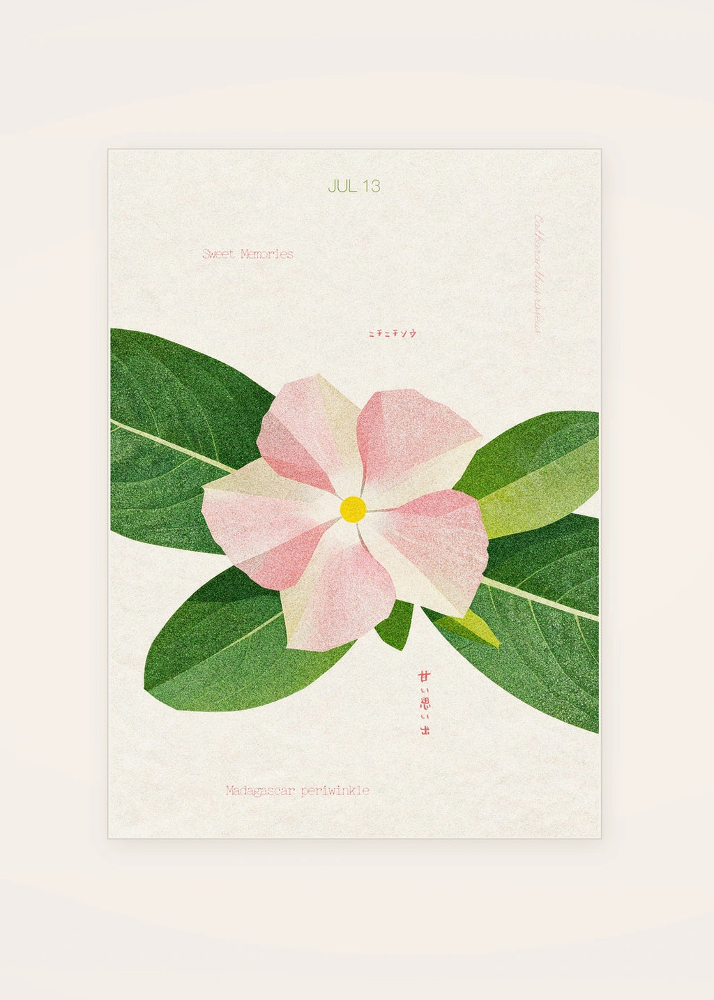 July 13 Madagascar Periwinkle birth flower card — clean