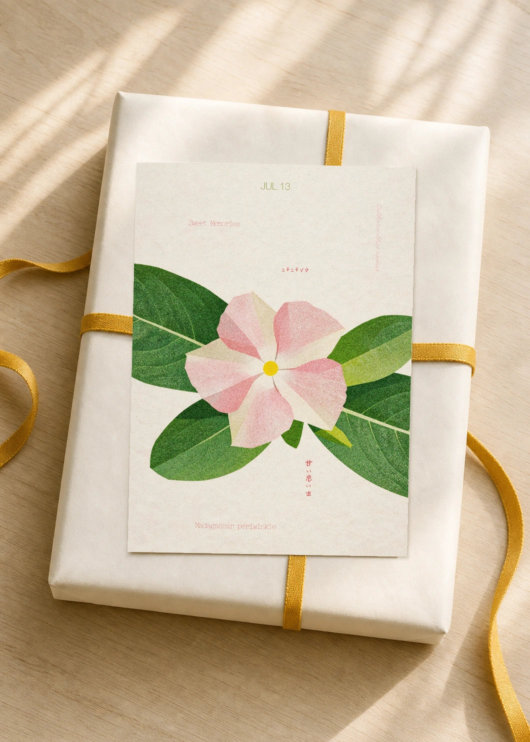 July 13 Madagascar Periwinkle birth flower card — gift