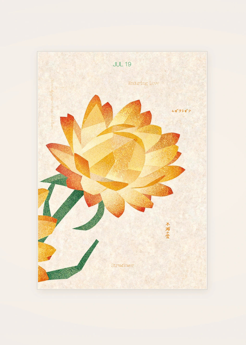 July 19 Strawflower birth flower card — clean
