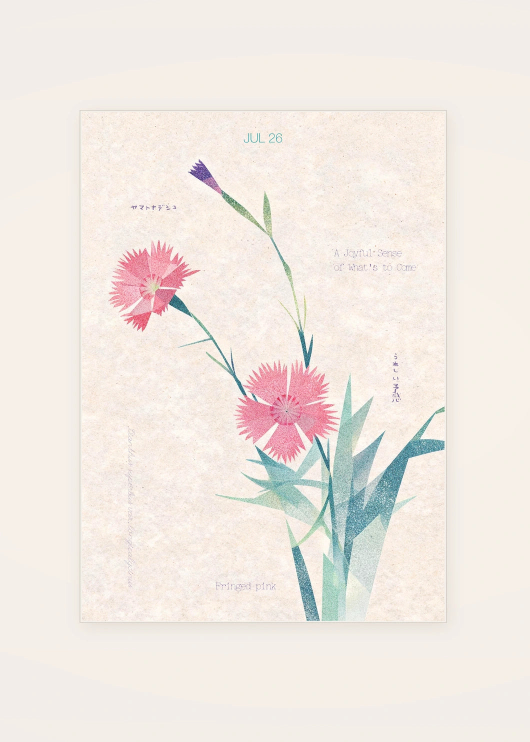 July 26 Fringed Pink birth flower card — clean