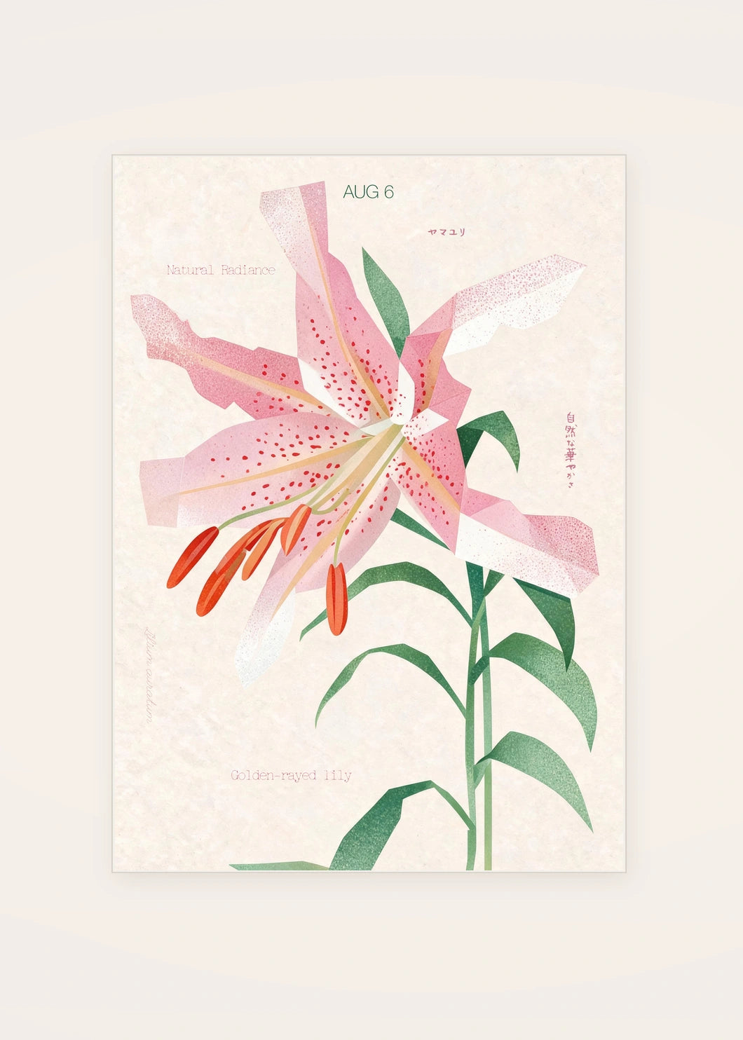 August 6 Golden-Rayed Lily birth flower card — clean