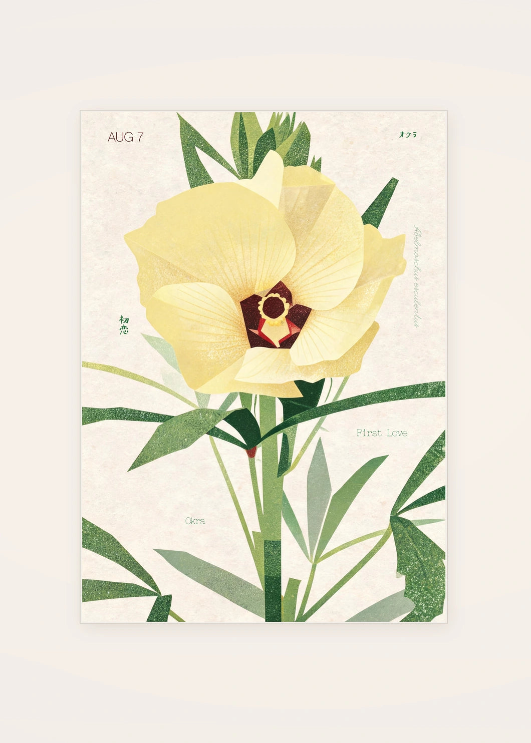 August 7 Okra birth flower card — clean