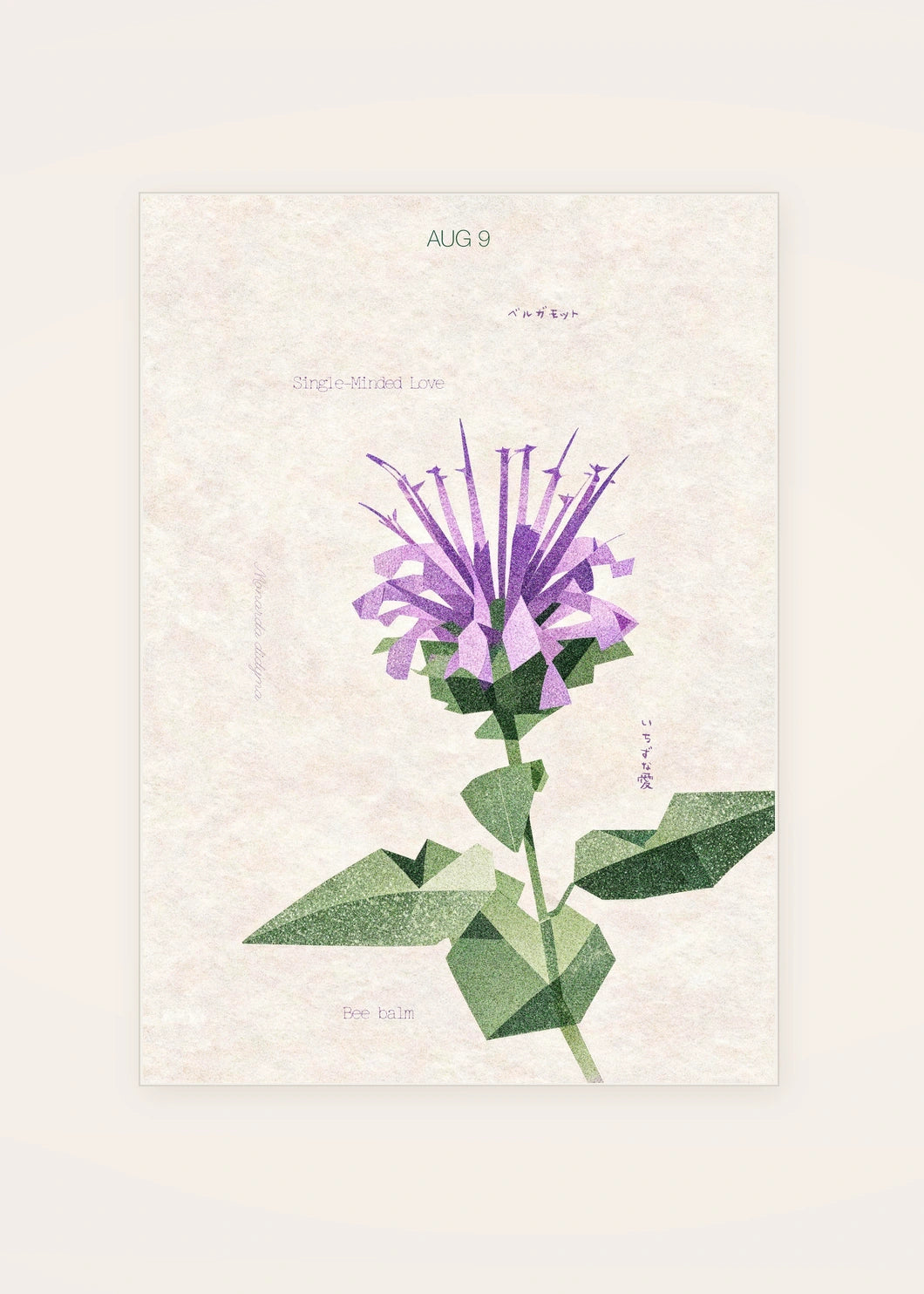 August 9 Bee Balm birth flower card — clean